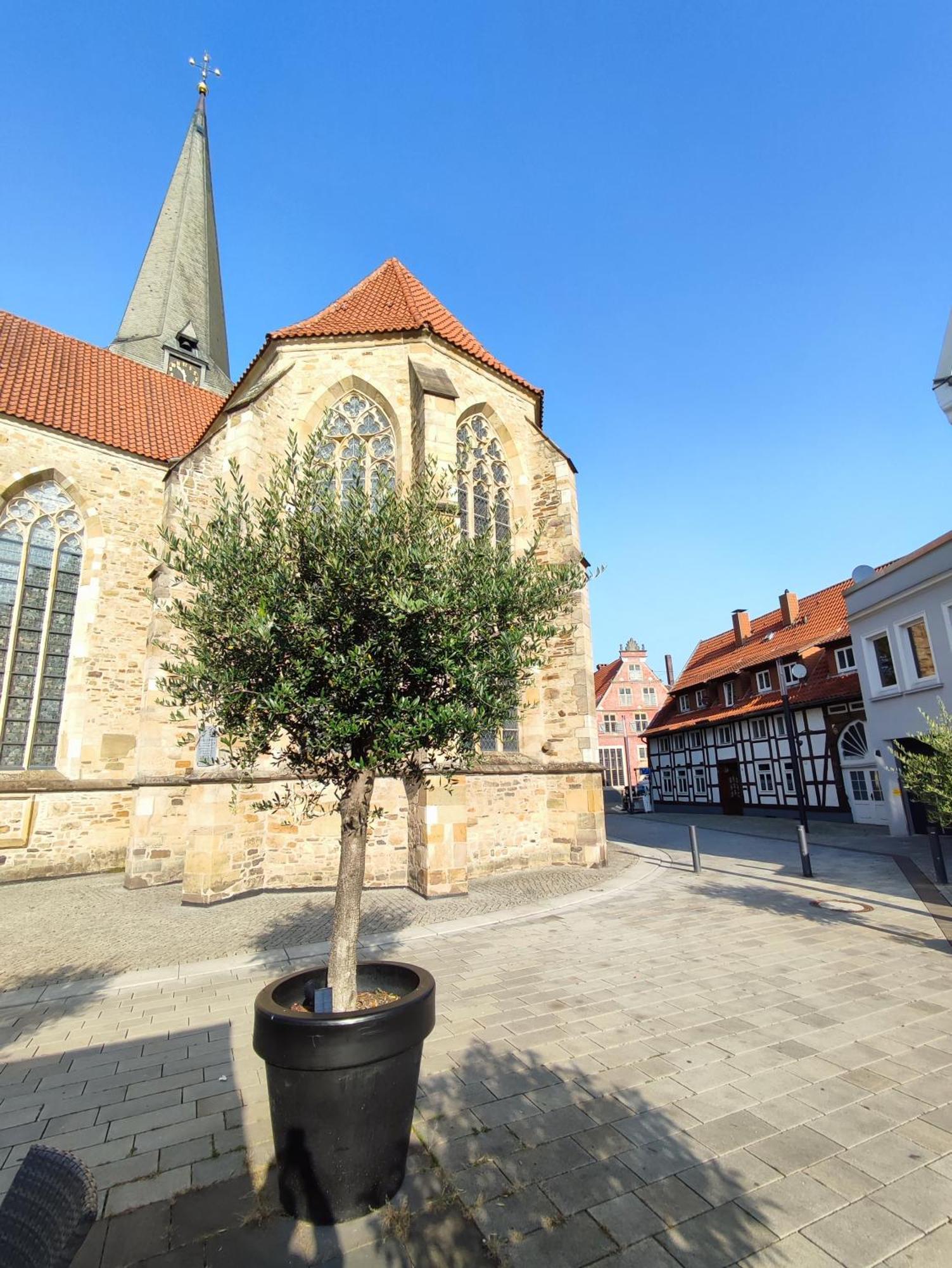 'Bright 1' Innenstadtlage, Ruhige, Schoene, Helle 3Zkb Wlan Herford Buitenkant foto